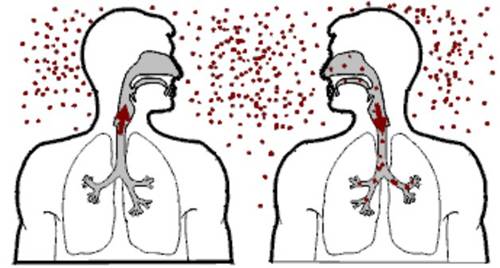 Cơ chế lan truyền vi khuẩn lao